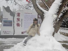 -渭源县灞陵桥公园