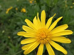 -桤木河湿地公园