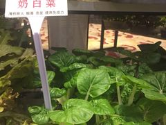 -成都龙之梦大酒店-龙悦中餐厅