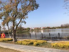 -上海长兴岛郊野公园