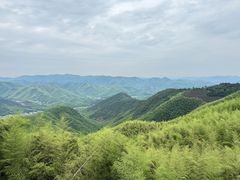-莫干山风景区