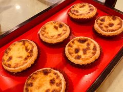 招牌鲜奶蛋挞-顺风山庄(水濂山店)