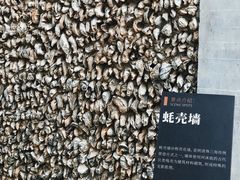 -碧江金楼