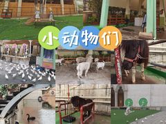 -华谊兄弟（长沙）电影小镇