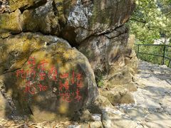 -紫云谷景区