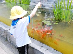 -青岛森林野生动物世界