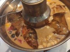 -眉州东坡(团结湖店)