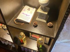 -雪灵魔法世界SHELLY’S TAROT(大良桂畔里店)