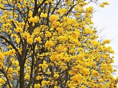 -龙湖重庆时代天街