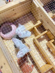 -酷嗒动物文化乐园(cutezoo西溪乐天城店)