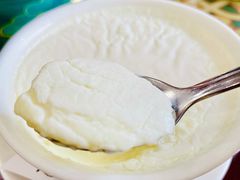 低糖版双皮奶-民信老铺(华盖路店)