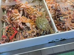 -朝陽市場