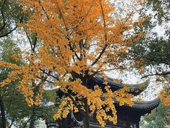 -西园戒幢律寺