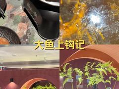 -芸山季·云南野生菌火锅(宝能环球汇店)