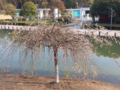 -白塘生态植物园