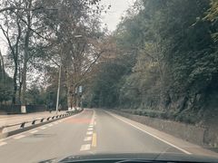 -盘龙黄鳝(盘龙居店)