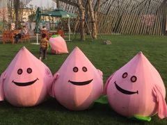 -田园东方蜜桃村的田野营地