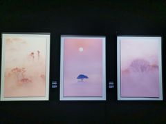 -罗红摄影艺术馆