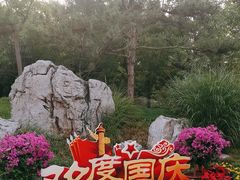 -莲花池公园
