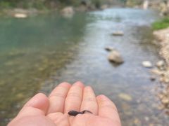 -北仑森林植物园