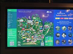 -夜间野生动物园