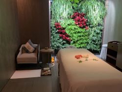 -VELEE·SPA高定疗愈会所