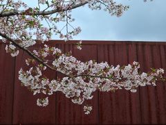 -龙美术馆(西岸馆)