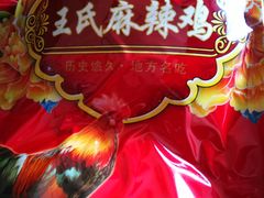 -王氏老字号宁强麻辣鸡(天荡花苑店)