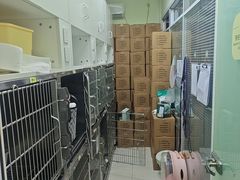 -悦宠凯宝动物医院·牙科·皮肤科(朝阳北路店)