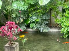 -漫笙舍Manse·咖啡·民宿