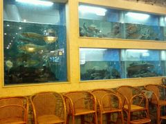 -围龙屋客家食府(福田店)