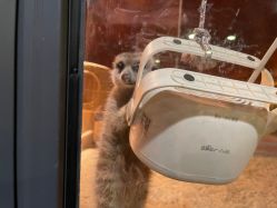 -酷嗒动物文化乐园(cutezoo西溪乐天城店)