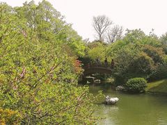 -桃花岛景观公园