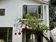 -柠檬花院烤肉·围炉煮茶·草坪团建·生日派对(三圣乡店)