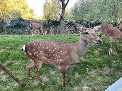 -北京野生动物园