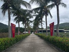 -亚龙湾国际玫瑰谷