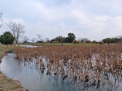 -良渚古城遗址公园