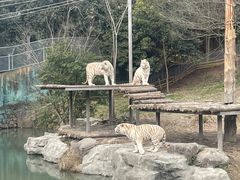 -宁波野生动物园