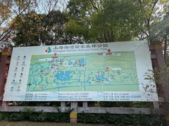 -上海海湾国家森林公园