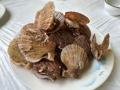 -宾朋海鲜特色美食餐厅·纯手工鲅鱼水饺(兴海路店)