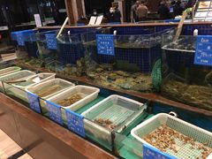 菜单-蓝港海鲜厨房(金水路店)