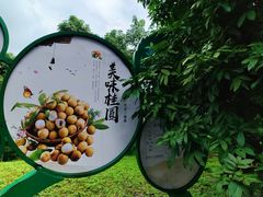-张坝桂圆林公园