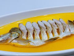 鸡汁大白鱼-食悦江南·淮扬菜·烤鸭(亚运村·惠新店)