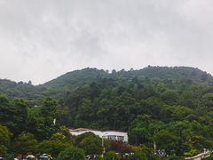 -黔灵山公园
