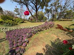 -云溪植物园