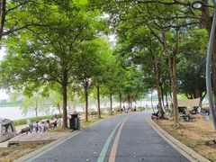 -琅岐红光湖公园