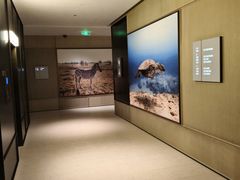 -城际上海虹桥机场酒店