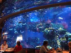-迪拜帆船酒店海底餐厅
