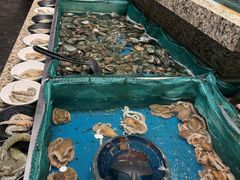 -初色海鲜自助(万丰路店)