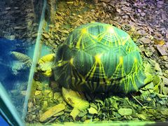 -上海海洋水族馆